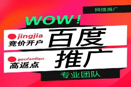 谷歌竞价案例：成功案例分析及启示